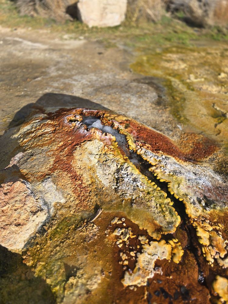 Travertine Hot Spring Logo