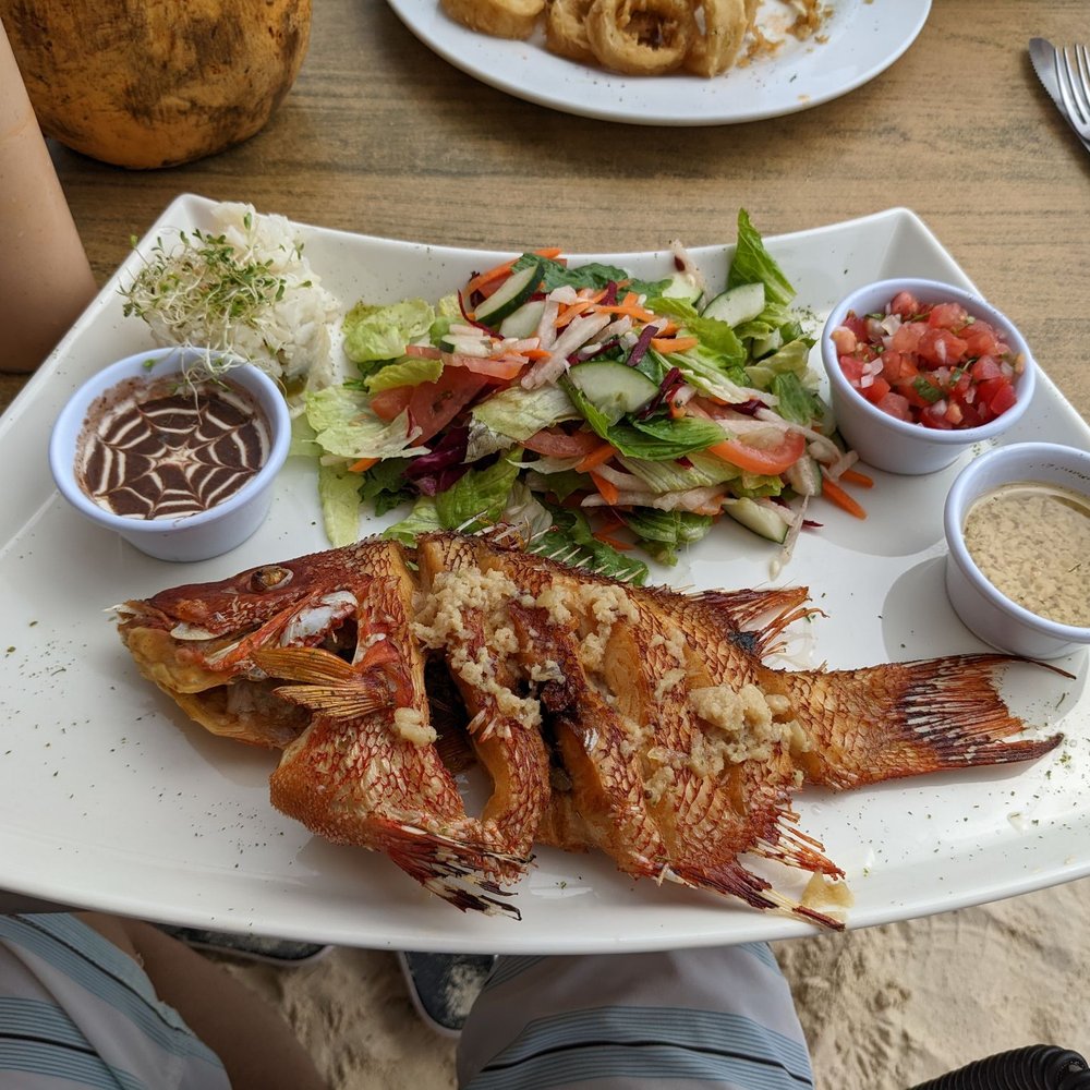 Muelle 7 - Fried red snapper - Cocktail Bars Near Me - Isla Mujeres, ROO