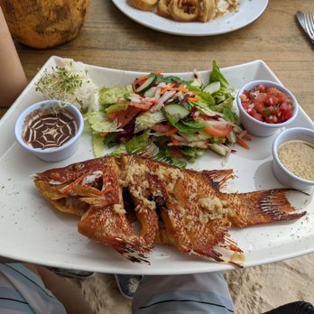 Muelle 7 - Fried red snapper - Cocktail Bars Near Me - Isla Mujeres, ROO