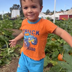 Pumpkin Station - Pumpkin patch