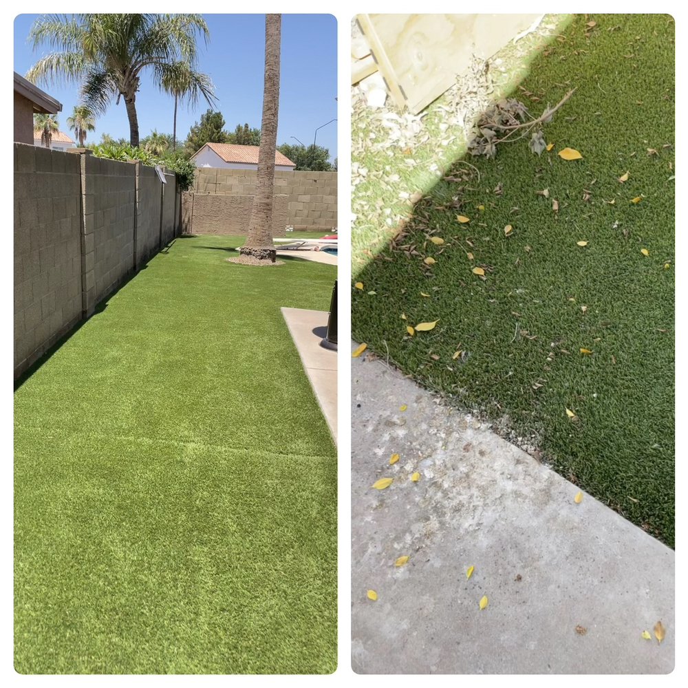 ONLY TURF - Updated August 2025 - 78 Photos - Mesa, Arizona