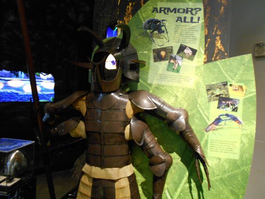 Audubon Insectarium by null