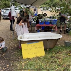 Crooked Run Orchard - In a bath tub? :)