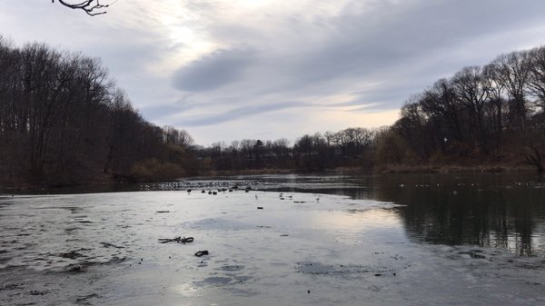 Alley Pond Environmental Center by null
