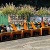Berwyn Lawnmower gift card