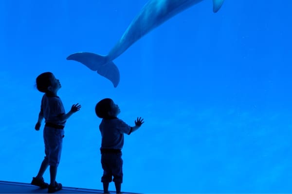 Port Of Nagoya Public Aquarium by null