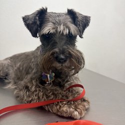 Animal Care Center of Weeki Wachee