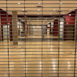 Buckle - Closed 2022