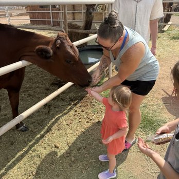 Staheli Family Farm - Challenge Courses Near Me - Washington, Utah Staheli Family Farm - Challenge Courses Near Me - Washington, Utah