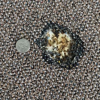 Crystal Carpet Care - They made this mess of a carpet burn disappear like it never existed! - Carpet Cleaning Near Me - Sumner, Washington