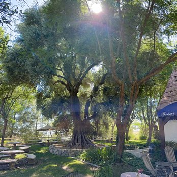Briar Rose Winery - Wineries Near Me - Temecula, California