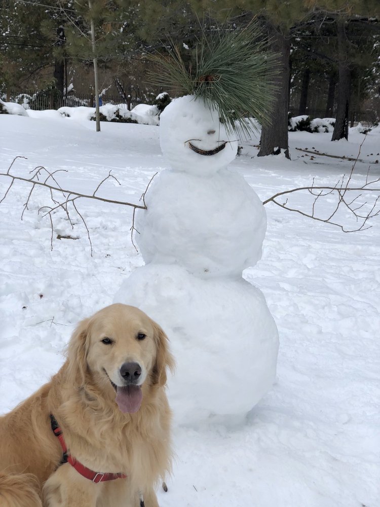 INCLINE VETERINARY HOSPITAL Updated September 2024 26 Reviews 880