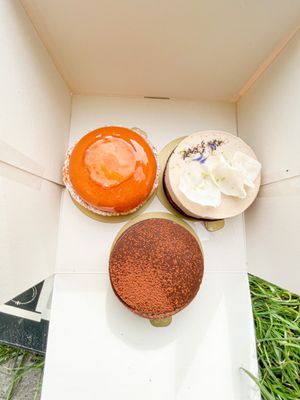 Mori Yoshida by null