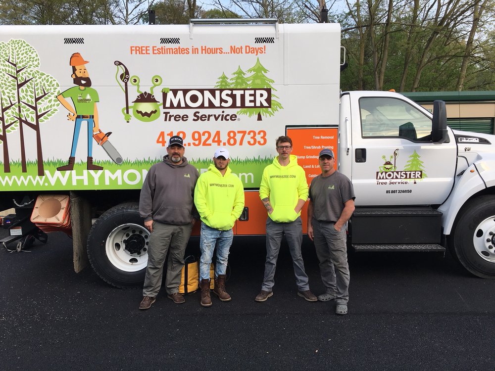 MONSTER TREE SERVICE OF PITTSBURGH 17 Photos Tree