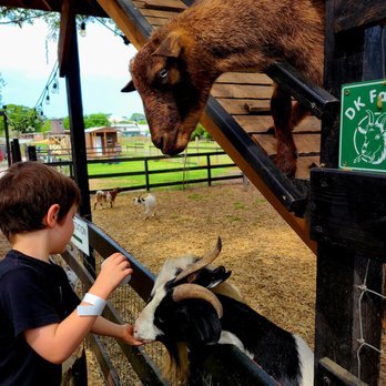 Dk Landscaping and Nursery - a young boy feeding a goat - Landscaping Near Me - Largo, Florida Dk Landscaping and Nursery - a young boy feeding a goat - Landscaping Near Me - Largo, Florida