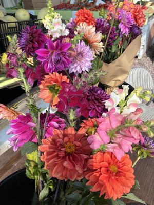 Well Rooted Farms by null