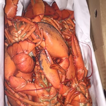 Ryer's Lobsters - Seafood Markets Near Me - Indian Harbour, Nova Scotia Ryer's Lobsters - Seafood Markets Near Me - Indian Harbour, Nova Scotia