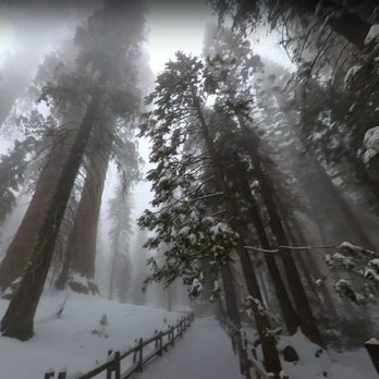 Sequoia Resort & RV Park - RV Parks Near Me - Badger, California