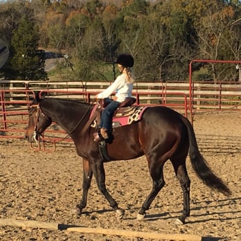 Time to Shine Stables - Horseback Riding Near Me - Mt Ulla, North Carolina Time to Shine Stables - Horseback Riding Near Me - Mt Ulla, North Carolina