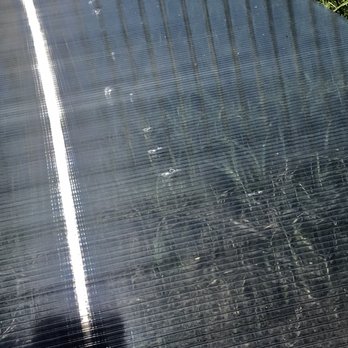 Regal Plastic - Dents all over their polygal sheets this one we just peeled off the plastic cover and this sheet is laying on the grass - Wholesale Stores Near Me - Houston, Texas