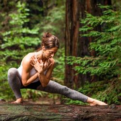 Nest Yoga