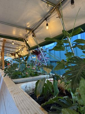 Japanese Grandma's Cafe by null