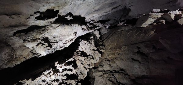 Oregon Caves National Monument & Preserve by null