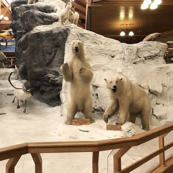 Cabela's - Outdoor Gear Near Me - Hamburg, Pennsylvania