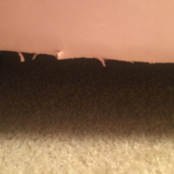 Esteamed Inc - Carpet Cleaning Near Me Esteamed Inc - Carpet Cleaning Near Me