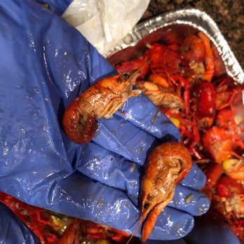 Crawfish Chef - Half of the order was that big. Seriously? - Seafood Near Me - Kent, Washington Crawfish Chef - Half of the order was that big. Seriously? - Seafood Near Me - Kent, Washington