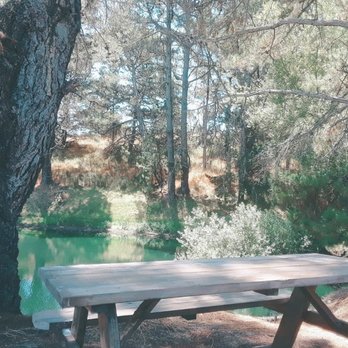 Monte-Bellaria Di California - Little pond and sitting area :) - Farms Near Me - Sebastopol, California Monte-Bellaria Di California - Little pond and sitting area :) - Farms Near Me - Sebastopol, California
