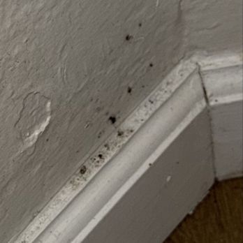 100 Boyd - Mold growing in the wall. - Apartments Near Me - Pleasant Hill, California