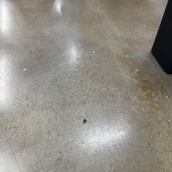 Anytime Fitness - cockroach - Gyms Near Me - El Paso, Texas Anytime Fitness - cockroach - Gyms Near Me - El Paso, Texas