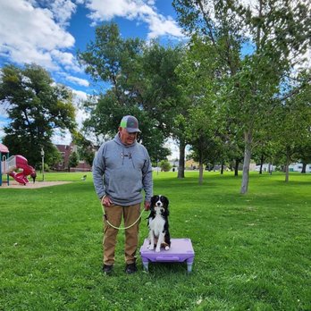 Sit Means Sit - Pet Training Near Me - Casper, Wyoming Sit Means Sit - Pet Training Near Me - Casper, Wyoming