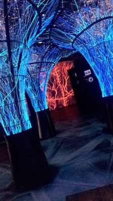 EPIC The Irish Emigration Museum by null