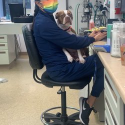Heart of Chelsea Veterinary Group - Lower East Side