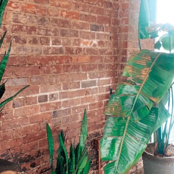Bovaconti Coffee - Coffee & Tea Near Me - Indianapolis, Indiana