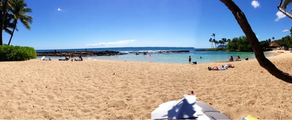 Paradise Cove Luau by null