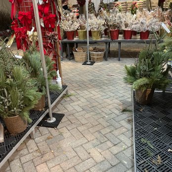 Chalet Nursery - Nurseries & Gardening Near Me - Wilmette, Illinois Chalet Nursery - Nurseries & Gardening Near Me - Wilmette, Illinois