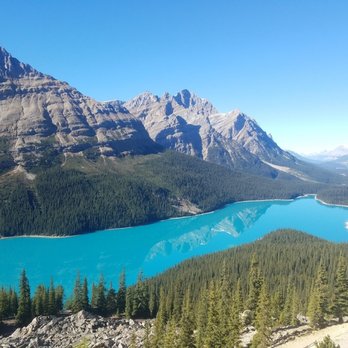 Peyto Lake - Peyto - Lakes Near Me - Banff, Alberta Peyto Lake - Peyto - Lakes Near Me - Banff, Alberta