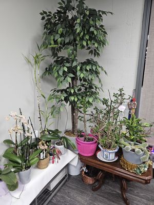 Fairview Deli by null