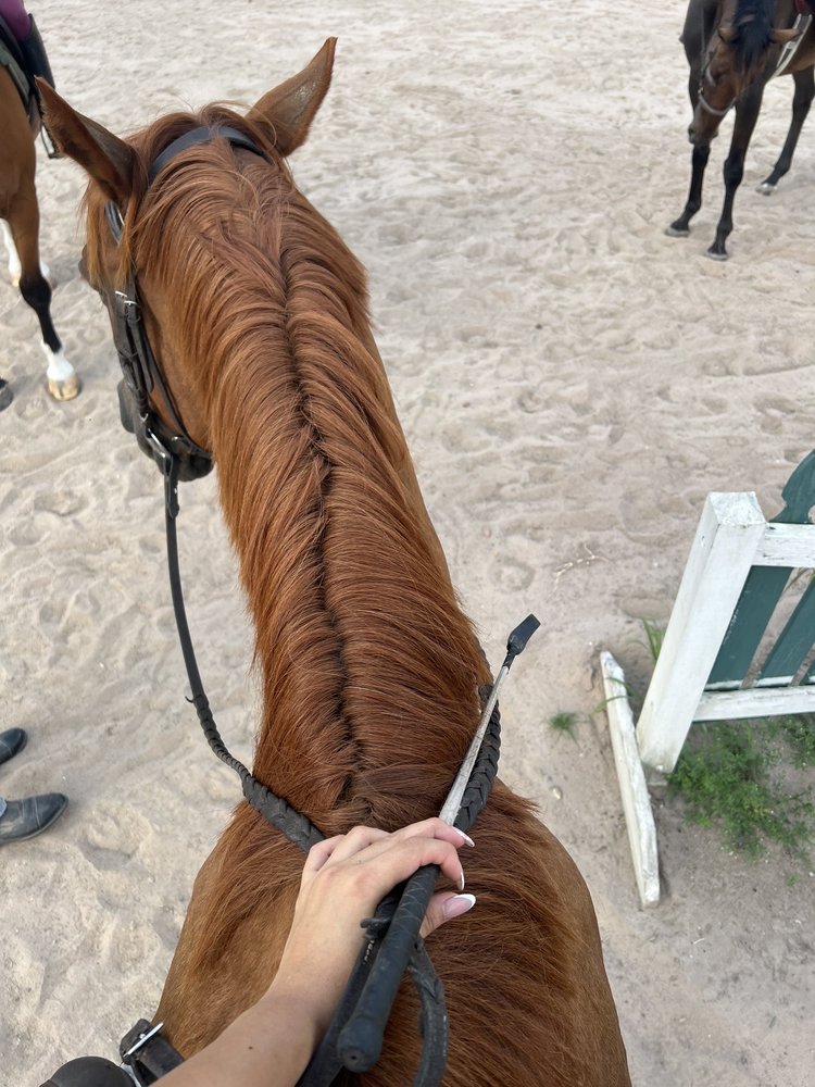 North Houston Horse Park