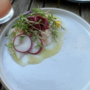 Barrio Costero - Ceviche- Where are the scallops? On an 8" plate, 75% of the dish is empty space? - Mexican Near Me - Asbury Park, New Jersey Barrio Costero - Ceviche- Where are the scallops? On an 8" plate, 75% of the dish is empty space? - Mexican Near Me - Asbury Park, New Jersey