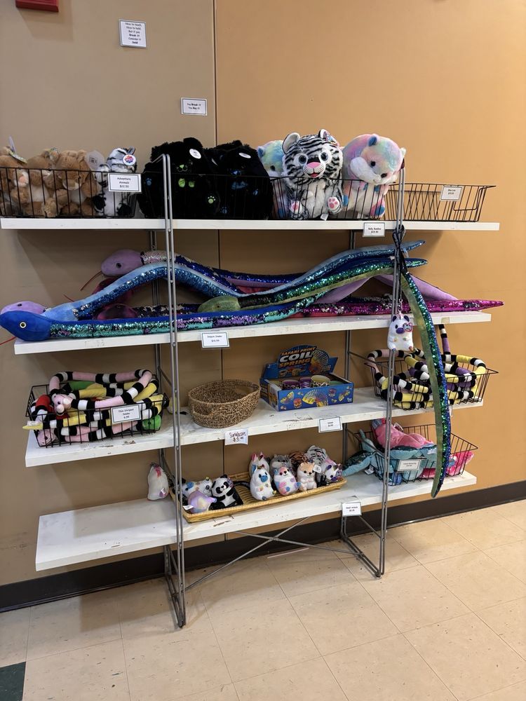 JUNGLE JAVA FARMINGTON HILLS Updated October 2024 18 Photos & 61