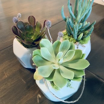 A Beautiful California Florist - Succulents - Florists Near Me - Long Beach, California A Beautiful California Florist - Succulents - Florists Near Me - Long Beach, California