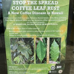 Simplot - Stop this pest.