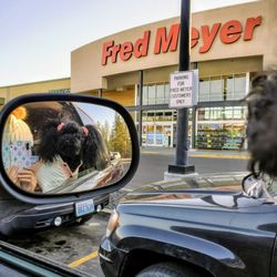 Fred Meyer One Stop Shopping - Early bird usually gets the worm