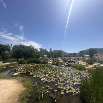 Rose Haven Heritage Garden - Community Gardens Near Me - Temecula, California