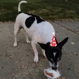 PupCup $2.00 PupCup $2.00