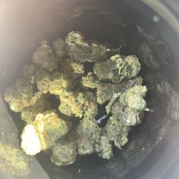 Selling popcorn nugs for regular flower? With the sticks and everything?